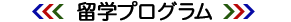 留学プログラム