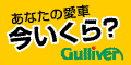 Gulliver USA Gulliver USA2