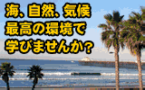 ミラコスタカレッジ 夏、秋セメスターの願書受付中! ミラコスタカレッジ ( MiraCosta College )