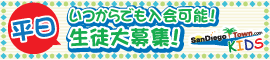 ����ǥ����������󡡥��å���ʿ�������ܸ쥯�饹 ����ǥ����������󡡥��å���ʿ�������ܸ쥯�饹 ( S