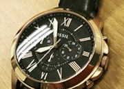 coated watch