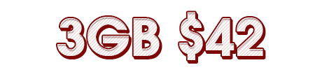 3GB $42