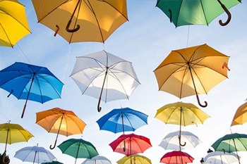 Umbrella