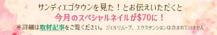 サンディエゴタウンを見た！とお伝え頂くと今月のネイルが$70に！