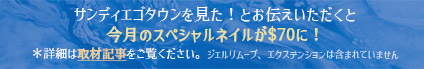サンディエゴタウンを見た！とお伝え頂くと今月のネイルが$70に！