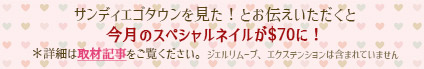 サンディエゴタウンを見た！とお伝え頂くと今月のネイルが$70に！