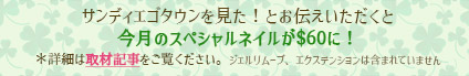 サンディエゴタウンを見た！とお伝え頂くと今月のネイルが$60に！