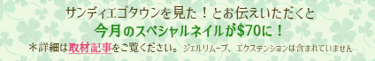 サンディエゴタウンを見た！とお伝え頂くと今月のネイルが$70に！