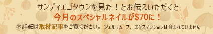 サンディエゴタウンを見た！とお伝え頂くと今月のネイルが$70に！