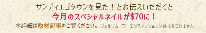 サンディエゴタウンを見た！とお伝え頂くと今月のネイルが$70に！