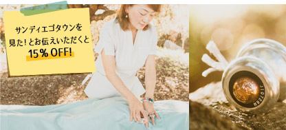 サンディエゴタウンを見た！とお伝えいただくと15％OFF!
