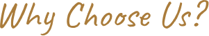 why_choose_us