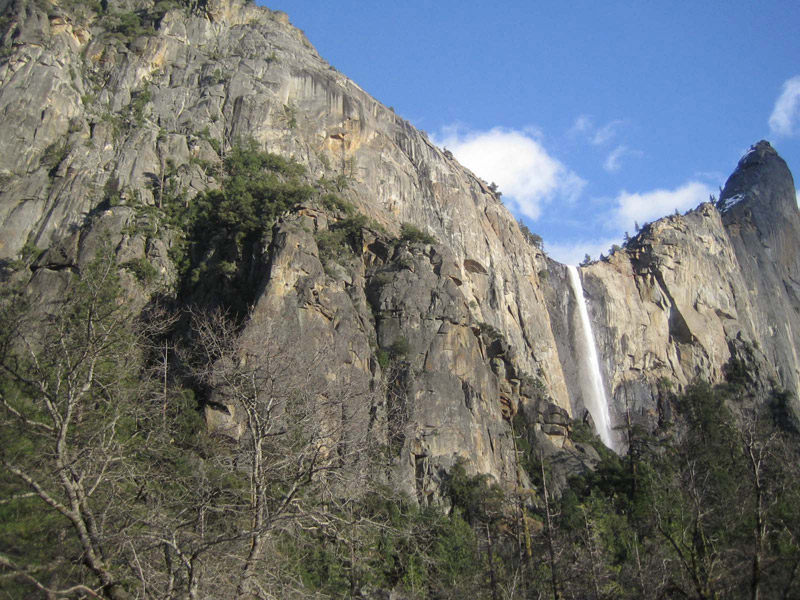 rakko