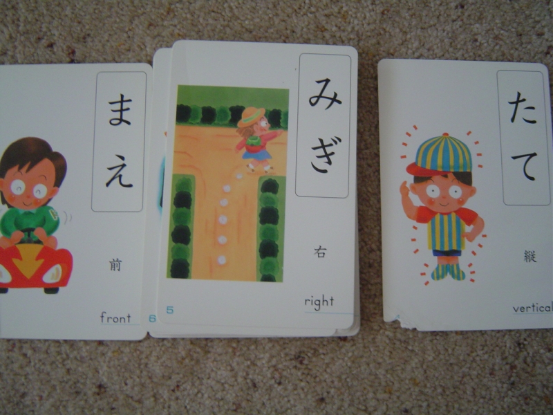 サンディエゴタウン クラシファイド くもん 反対語カード