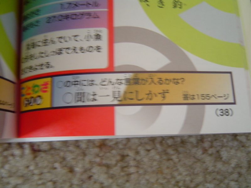 サンディエゴタウン クラシファイド ポケモンと一緒に覚えることわざ大百科