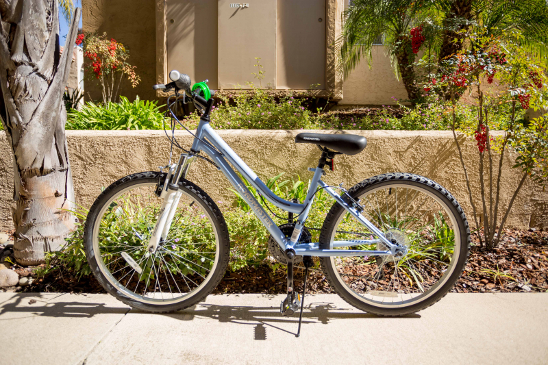 roadmaster girls bike