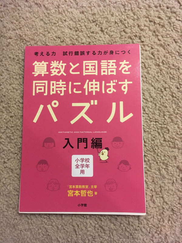 サンディエゴタウン クラシファイド 算数と国語を同時に伸ばすパズル ドリル