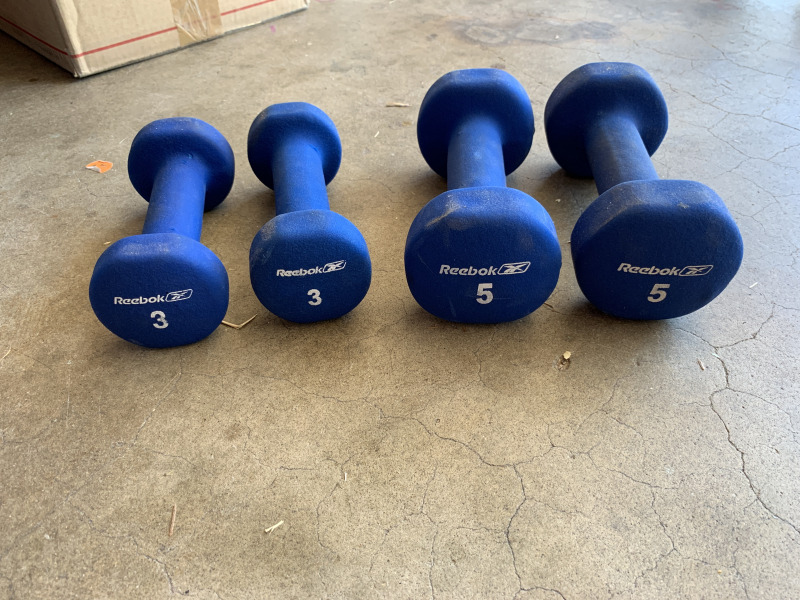 reebok dumbbells