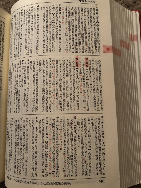 サンディエゴタウン クラシファイド 小学生 中学生用国語辞典 漢字辞典