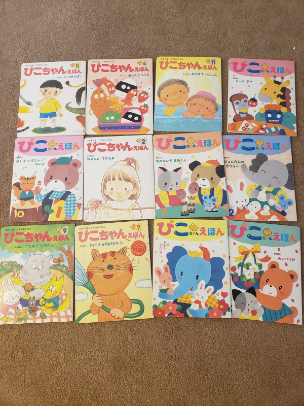 サンディエゴタウン クラシファイド 幼児向け絵本 24冊 サンディエゴタウン クラシファイド 幼児向け絵本 24冊