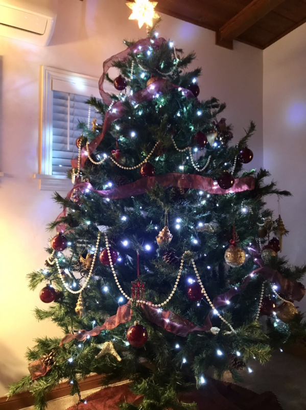 サンディエゴタウン クラシファイド クリスマスツリーのセット サンディエゴタウン クラシファイド クリスマスツリーのセット