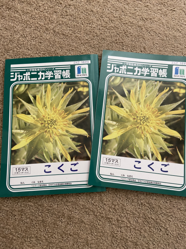 サンディエゴタウン クラシファイド こくごノート 15マス