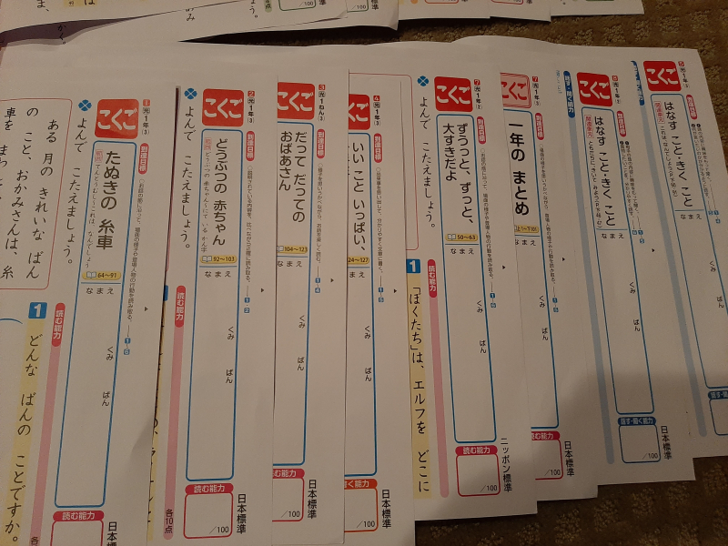 サンディエゴタウン クラシファイド 一年生 国語算数テスト