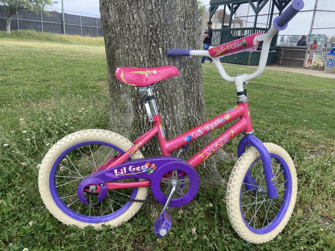 サンディエゴタウン - クラシファイド[16インチ子供用自転車] 