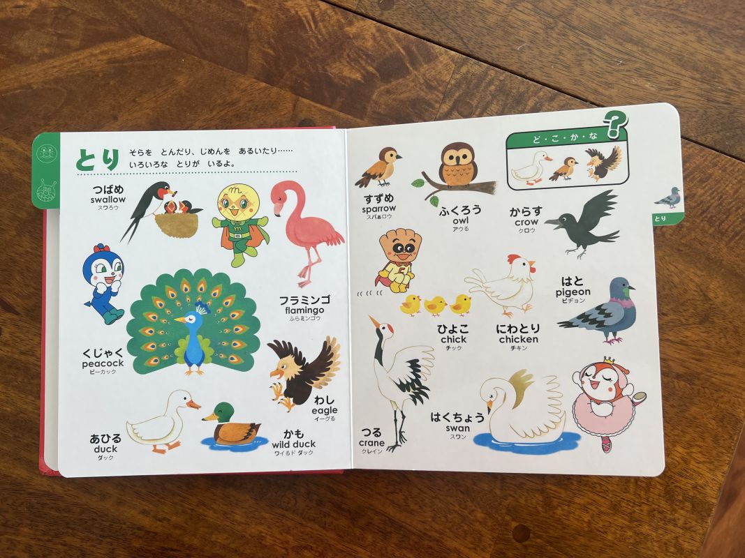サンディエゴタウン - クラシファイド[アンパンマン 知育絵本セット]