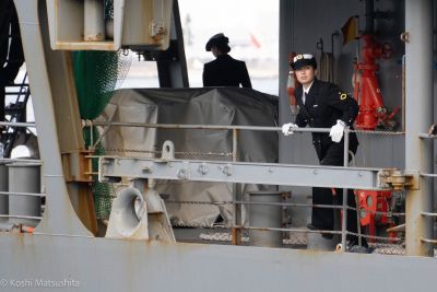 海上自衛隊練習艦隊入港のお出迎えの画像