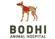 サンディエゴ　動物病院 - Bodhi Animal Hospital