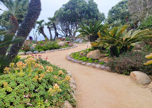 エンシニータス メディテーション ガーデン - The Self-Realization Fellowship Encinitas Hermitage and Meditation Gardens