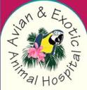 Avian & Exotic Animal Hospital