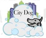 City Dog